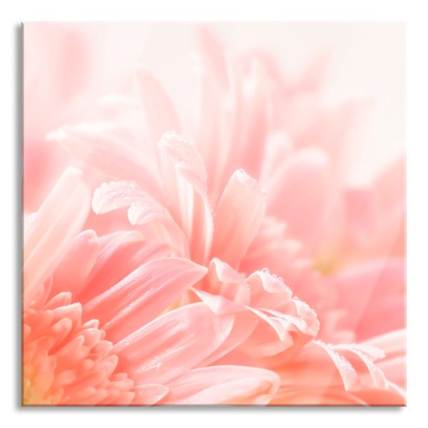 Gerbera Blume, Glasbild Quadratisch Rabatt