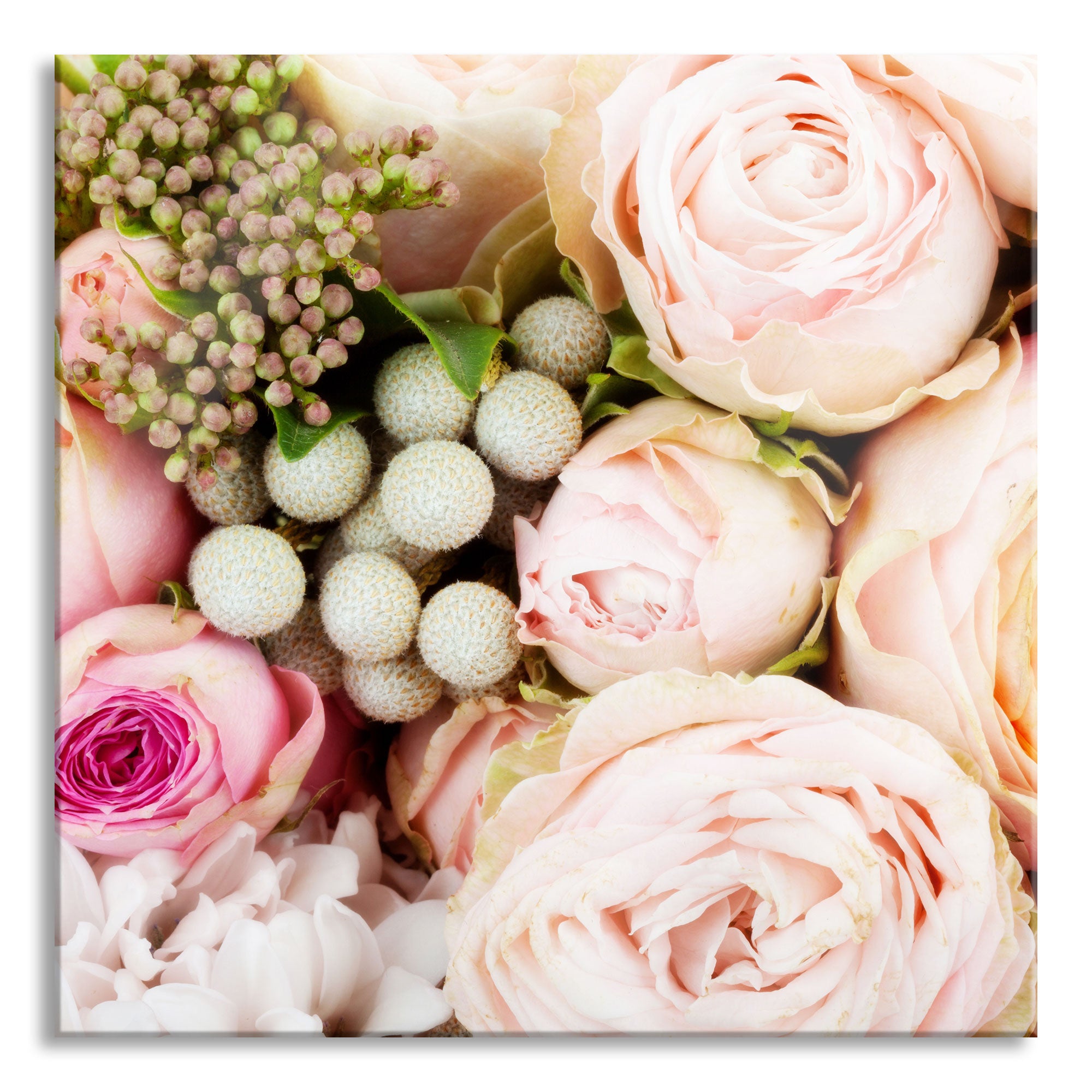 Rosa Rosen, Glasbild Quadratisch Online
