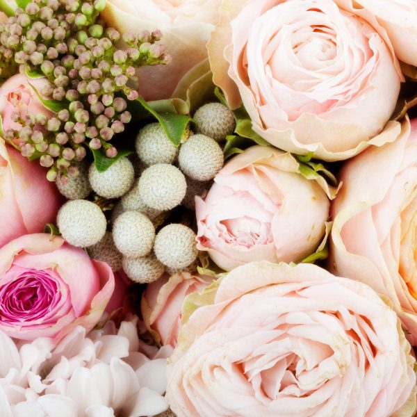 Rosa Rosen, Glasbild Quadratisch Online – Bild 5