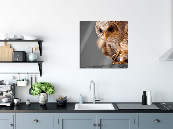 Eule mit Grille in ihren Krallen, Glasbild Quadratisch Im Angebot – Bild 3