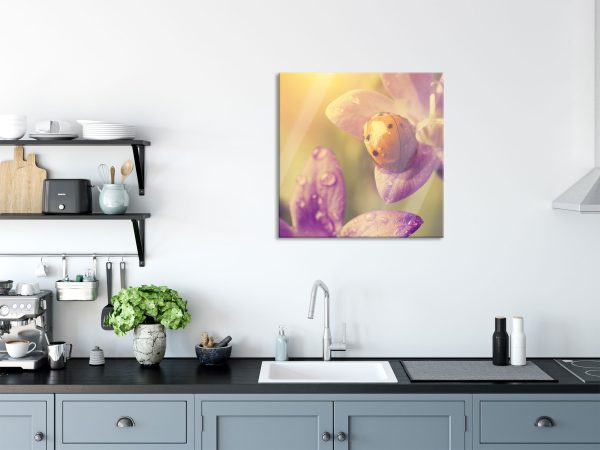Marienkäfer auf Blüte, Glasbild Quadratisch Angebot – Bild 3